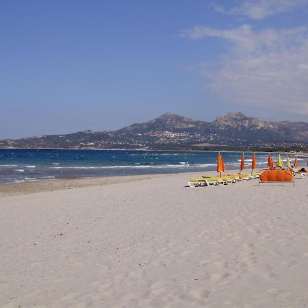 Appartement F1 Calvi A 150 Metres De La Plage Esterno foto