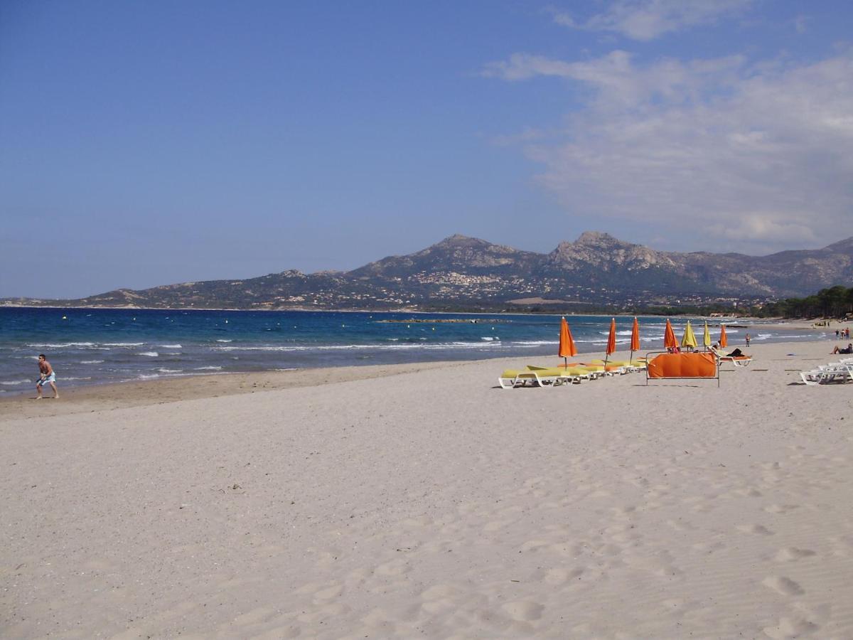 Appartement F1 Calvi A 150 Metres De La Plage Esterno foto