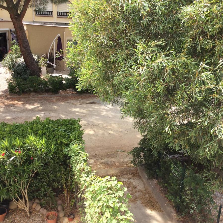Appartement F1 Calvi A 150 Metres De La Plage Esterno foto